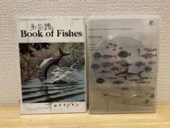 2026年最新】魚図鑑 サカナクションの人気アイテム - メルカリ