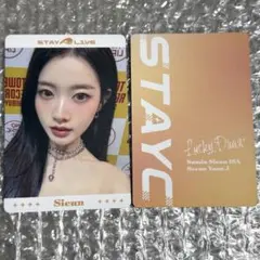 2026年最新】シウンの人気アイテム - メルカリ