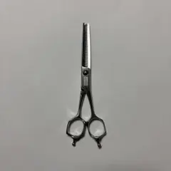 2026年最新】ミズタニシザー セニングの人気アイテム - メルカリ