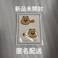 2026年最新】Skzoo ヘアクリップの人気アイテム - メルカリ