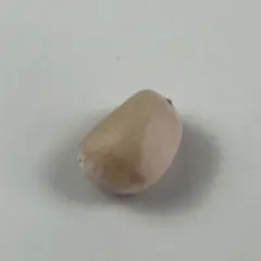 2026年最新】エンセ ホリダスの人気アイテム - メルカリ