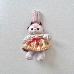 2026年最新】ステラルーいちごの人気アイテム - メルカリ