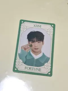 2026年最新】チャウヌ トレカの人気アイテム - メルカリ