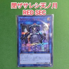 2026年最新】サロスナンナ 赤シクの人気アイテム - メルカリ