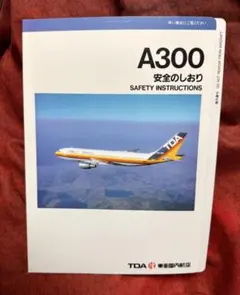 2026年最新】東亜国内航空の人気アイテム - メルカリ