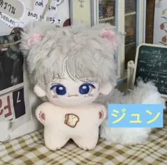 2025年最新】Seventeen ジュン ぬいぐるみ 10cmの人気アイテム - メルカリ