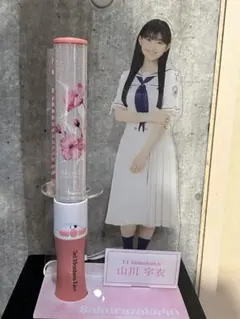 2026年最新】ペンライトスタンド 櫻坂の人気アイテム - メルカリ