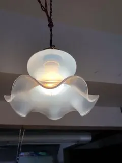 2026年最新】オパールセント シェードの人気アイテム - メルカリ