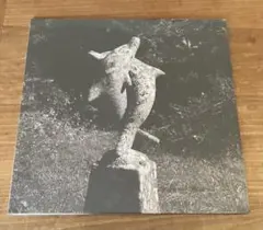 2026年最新】青葉市子 lpの人気アイテム - メルカリ