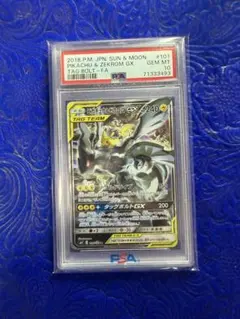 2026年最新】ピカチュウ&ゼクロム sr psa10の人気アイテム - メルカリ