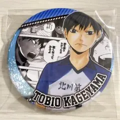 2026年最新】ハイキュー影山飛雄heroes コレクション缶バッジの人気