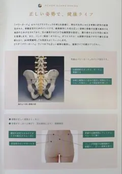 2026年最新】全健会 パワーガードの人気アイテム - メルカリ