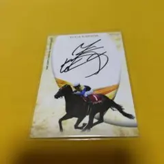 2026年最新】川田将雅 サインの人気アイテム - メルカリ