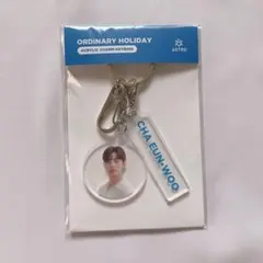 2026年最新】ordinary holiday astroの人気アイテム - メルカリ