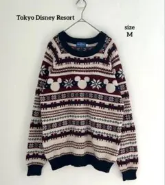 2026年最新】ディズニーリゾートセーターの人気アイテム - メルカリ