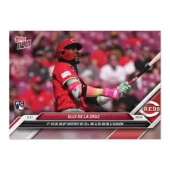 2026年最新】elly de la cruzの人気アイテム - メルカリ