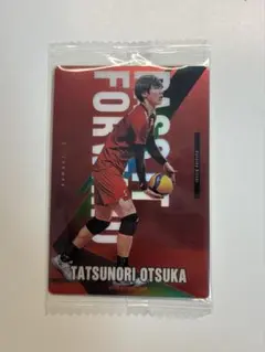 2026年最新】大塚達宣トレカの人気アイテム - メルカリ