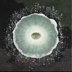 2026年最新】siip 完全生産限定の人気アイテム - メルカリ