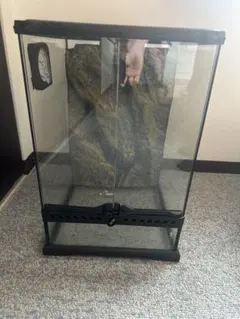 2026年最新】グラステラリウム6045の人気アイテム - メルカリ