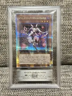 遊戯王 M∀LICE＜P＞White Rabbit 25th SE M∀LICE＜P＞White Rabbit【DBCB-JP015 QCSE】25th 買取 | 遊戯王OCG
