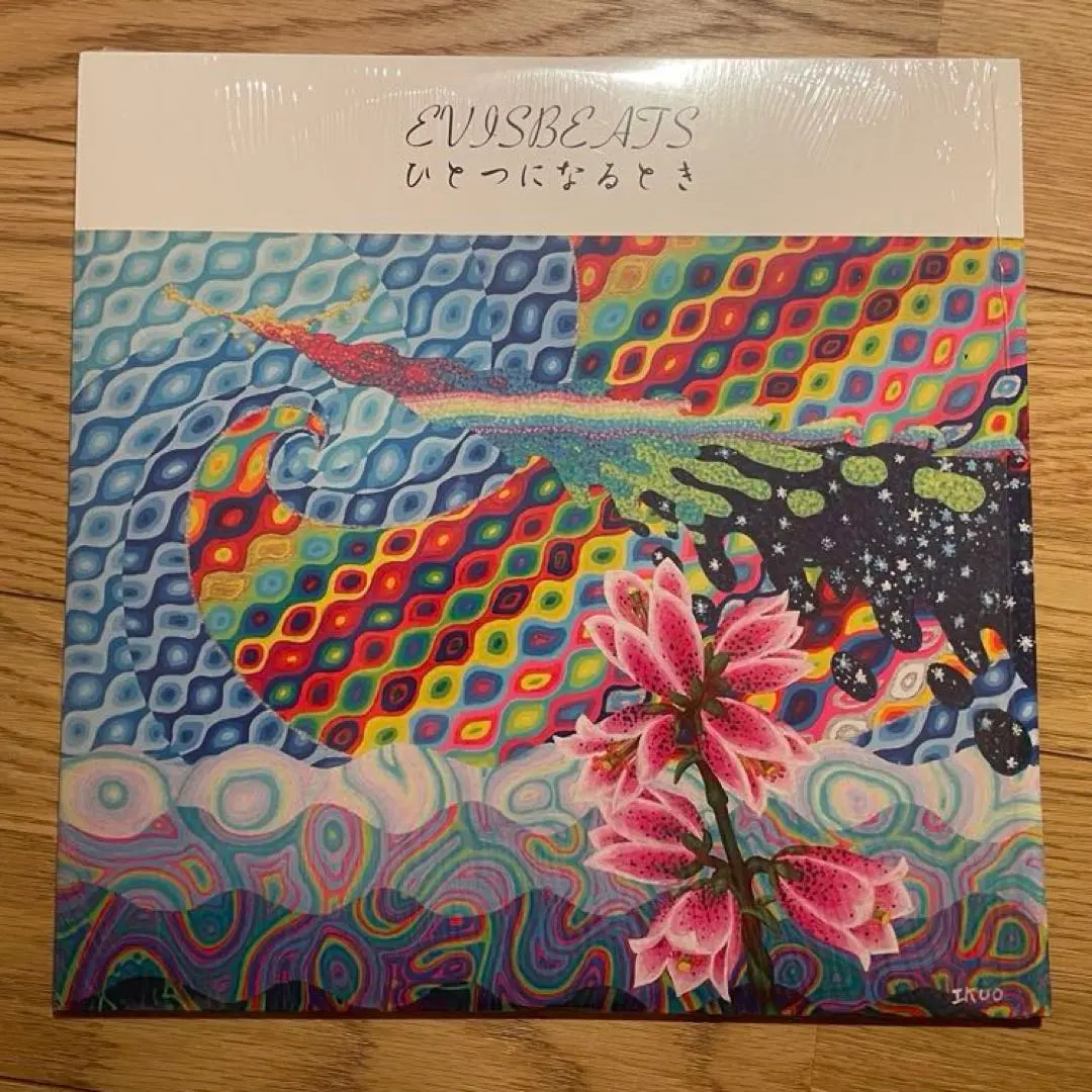 2026年最新】ひとつになるとき EVISBEATSの人気アイテム - メルカリ