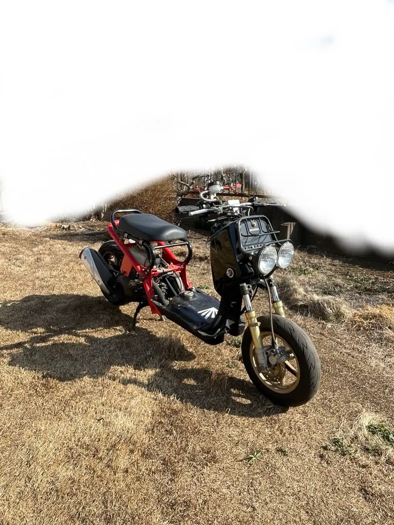 2026年最新】ロンホイ ズーマーの人気アイテム - メルカリ