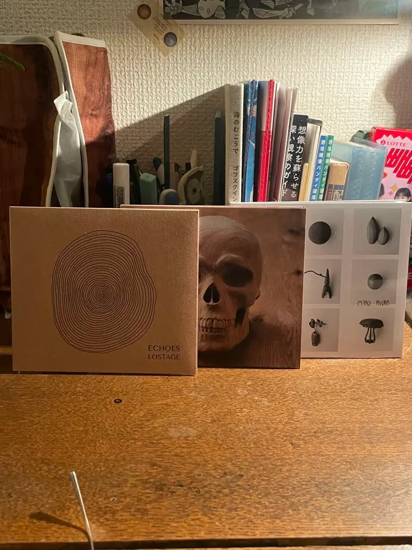 m12462206844_1.jpg?1744035744