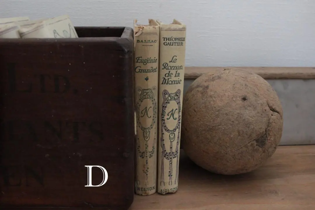 2026年最新】ネルソン 洋書 フランスアンティークの人気アイテム