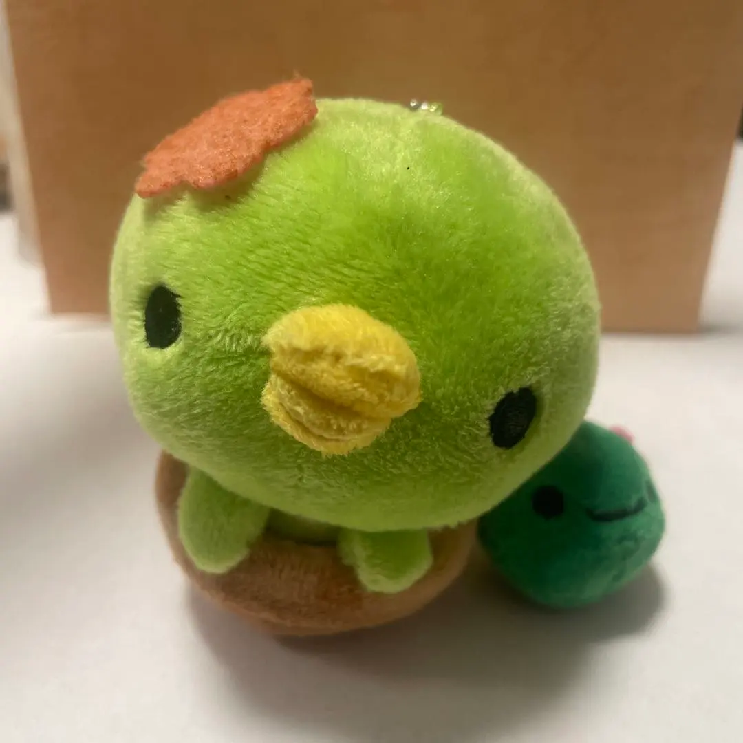 2026年最新】サボカッパ ぬいぐるみの人気アイテム - メルカリ