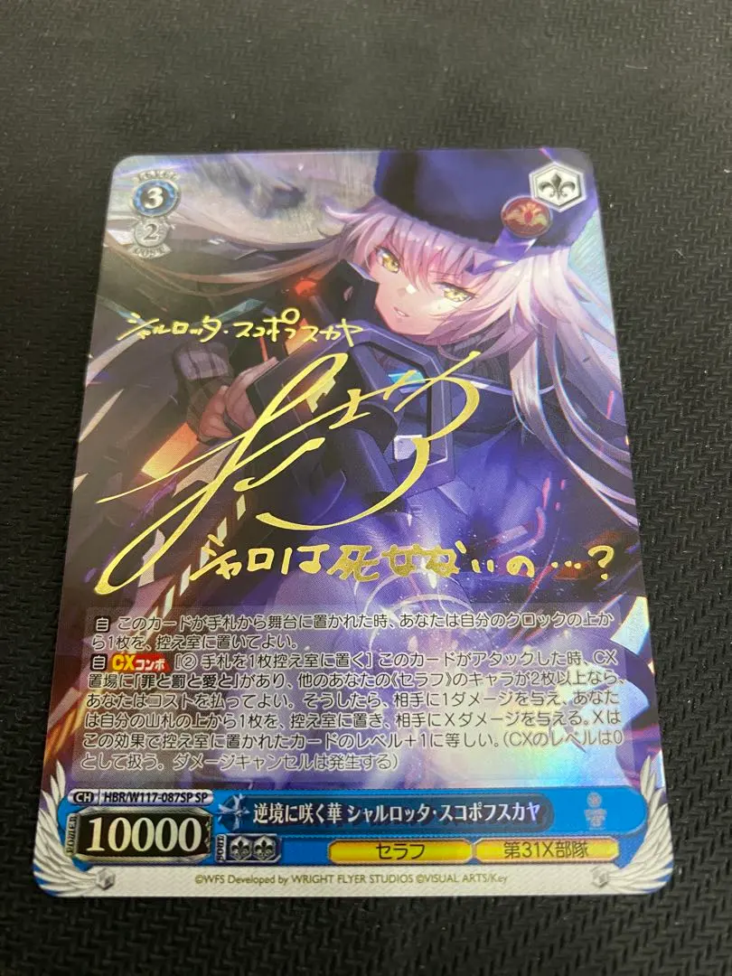 2026年最新】ヴァイス 逆境に咲く華 シャルロッタ・スコポフスカヤの