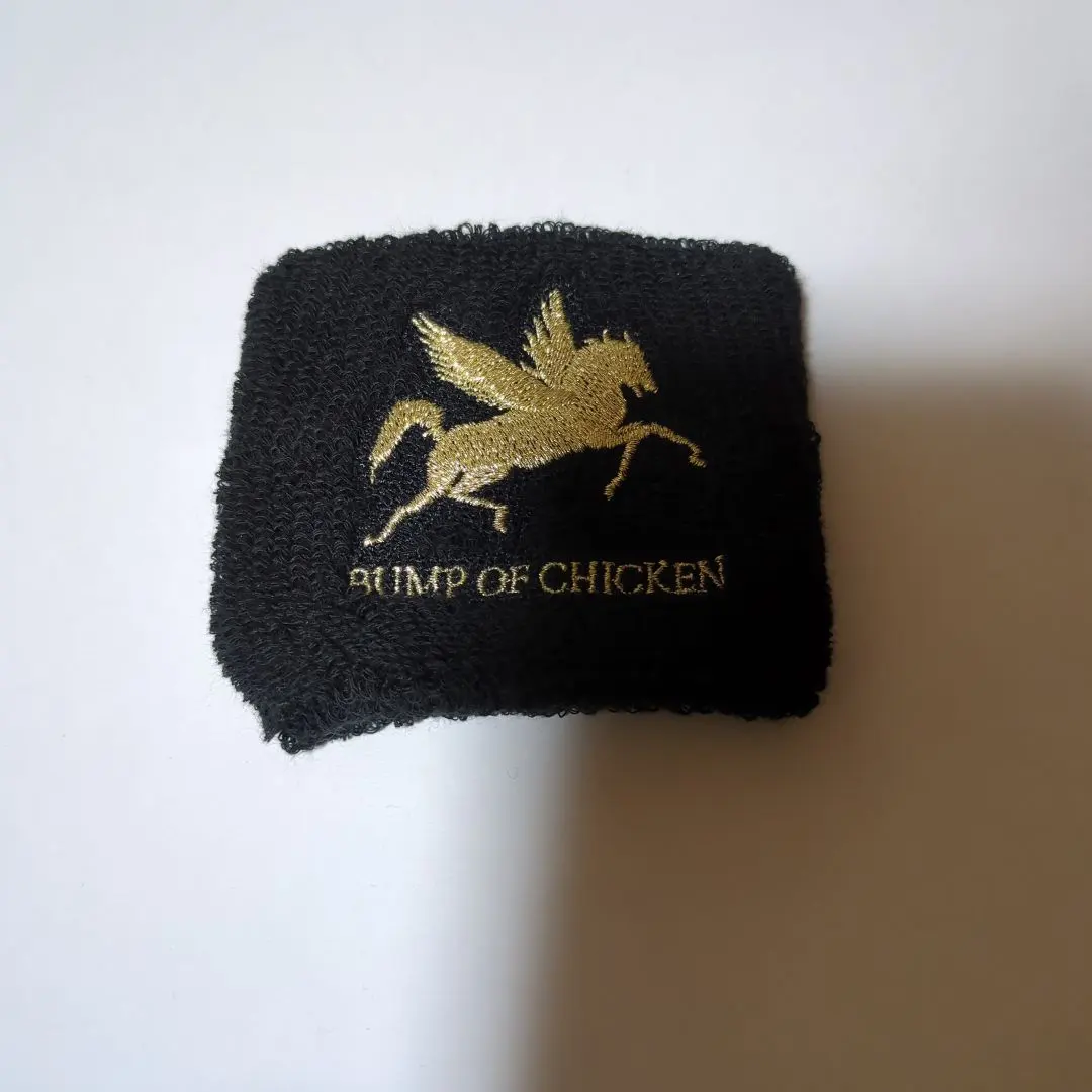 2026年最新】バンプオブチキン pegasusの人気アイテム - メルカリ