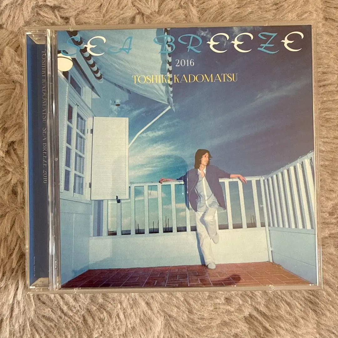 2026年最新】角松敏生 sea breezeの人気アイテム - メルカリ