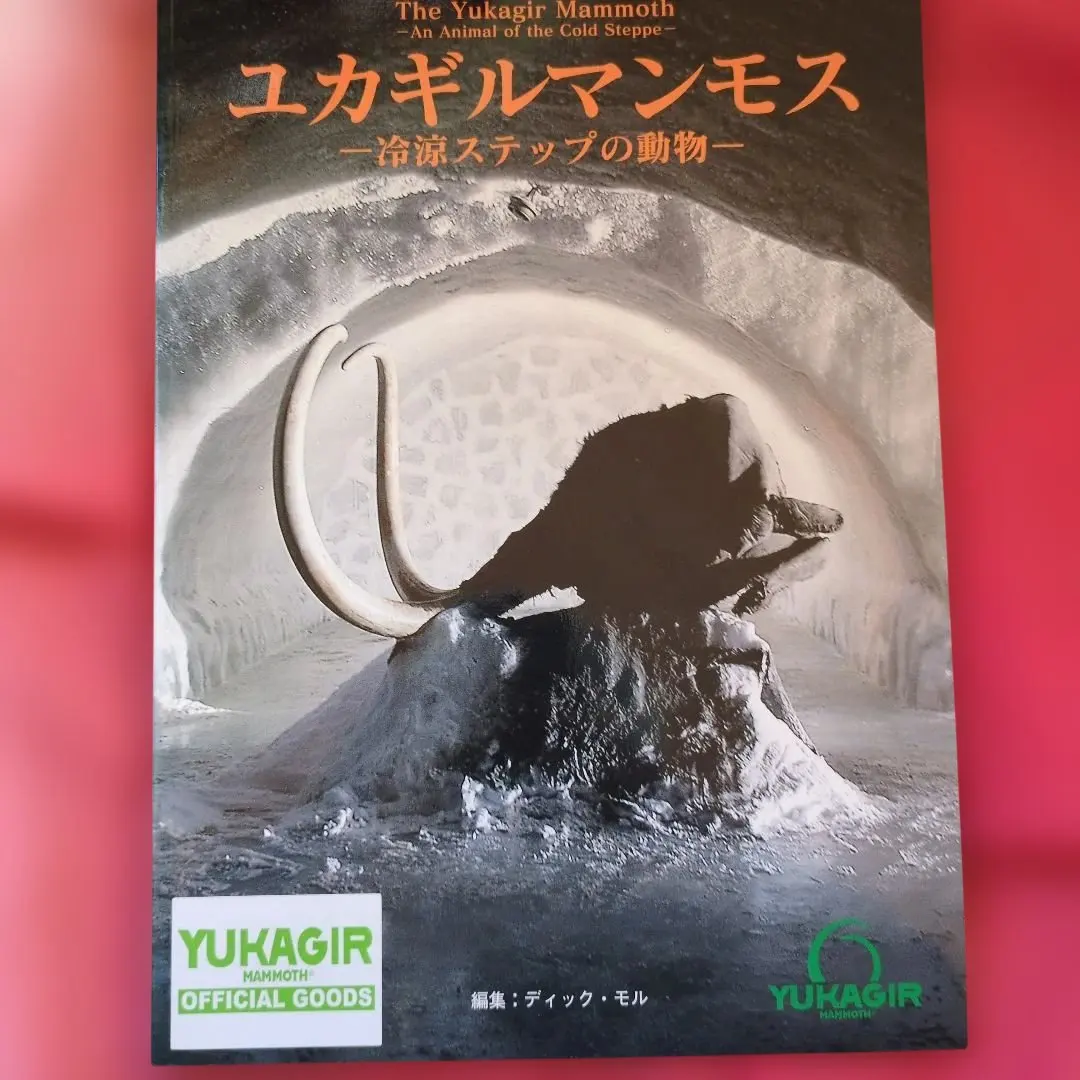2026年最新】愛・地球博 マンモスの人気アイテム - メルカリ