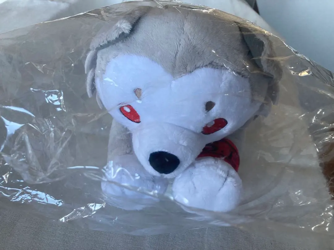 2026年最新】コロマル ぬいぐるみの人気アイテム - メルカリ