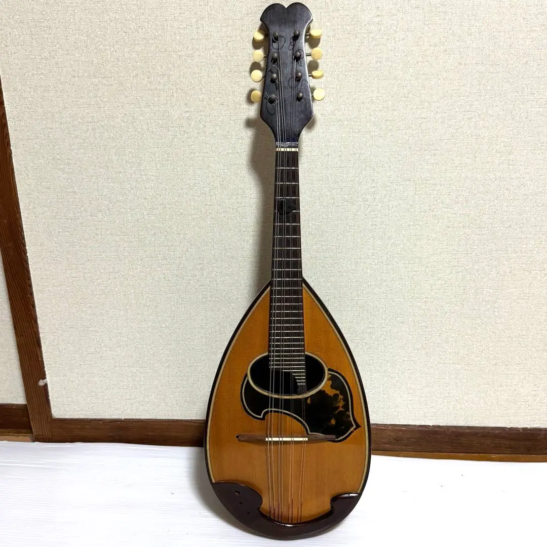 2026年最新】国島 マンドリンの人気アイテム - メルカリ