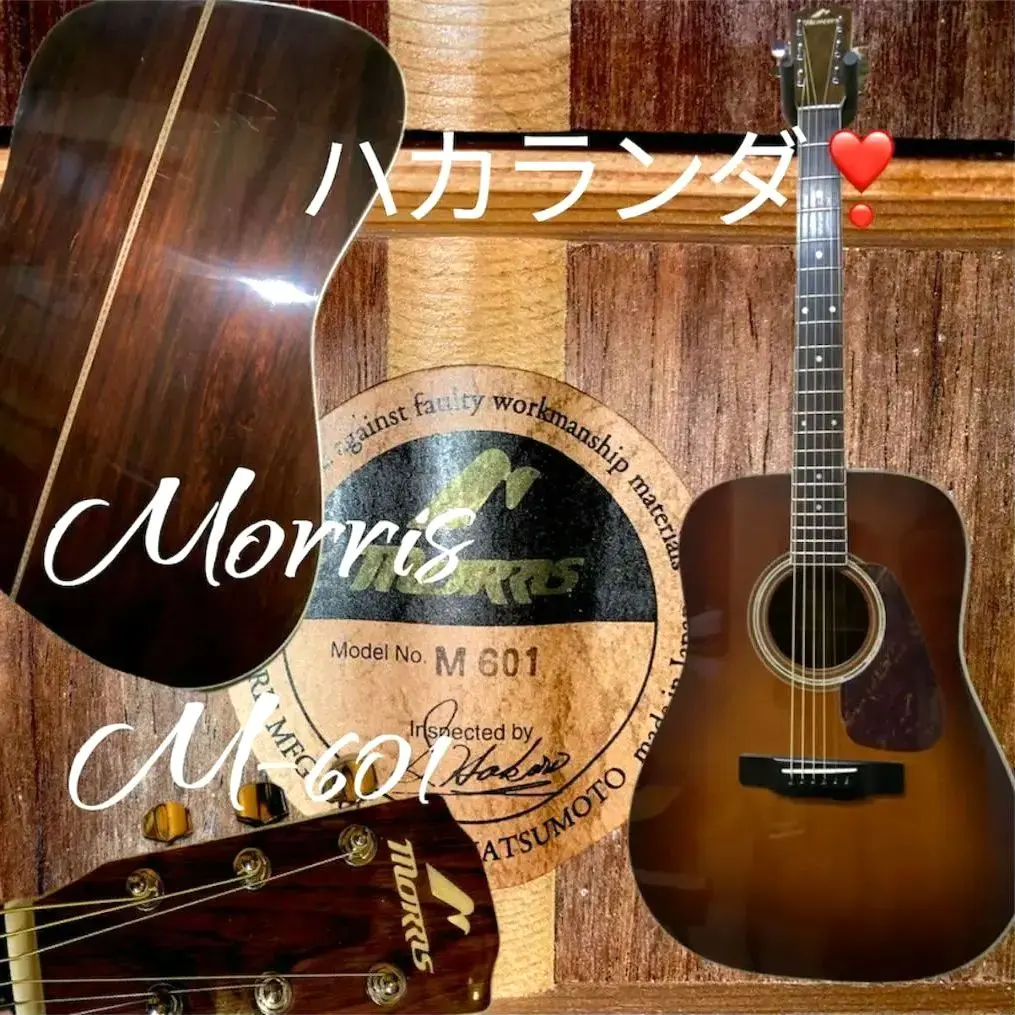 2026年最新】morris 601の人気アイテム - メルカリ