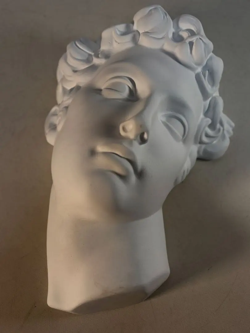 2026年最新】石膏像メディチの人気アイテム - メルカリ