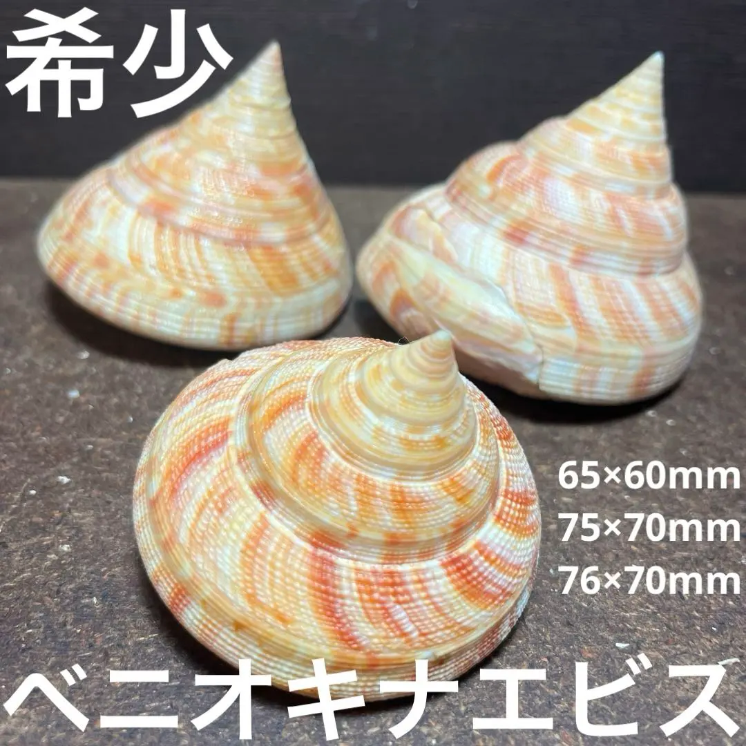 2026年最新】オキナエビスの人気アイテム - メルカリ