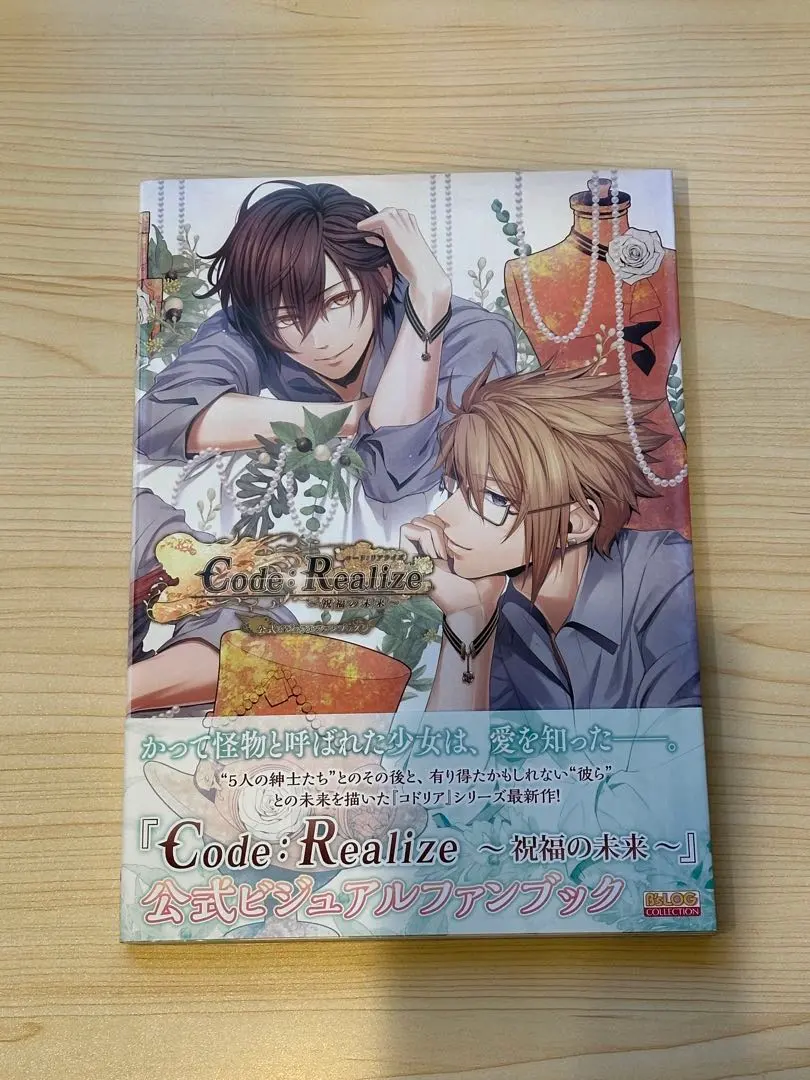 2026年最新】リアライズ公式ビジュアルファンブックの人気アイテム