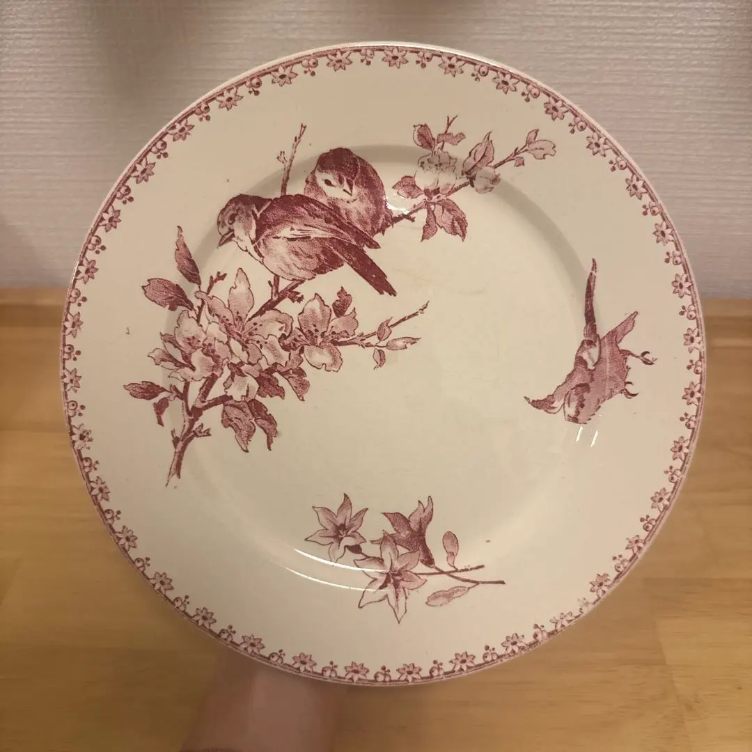 2026年最新】サルグミンヌfavoriの人気アイテム - メルカリ