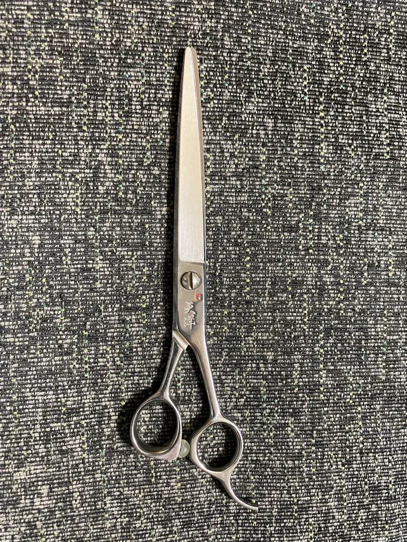 2026年最新】天洋 シザー g2の人気アイテム - メルカリ