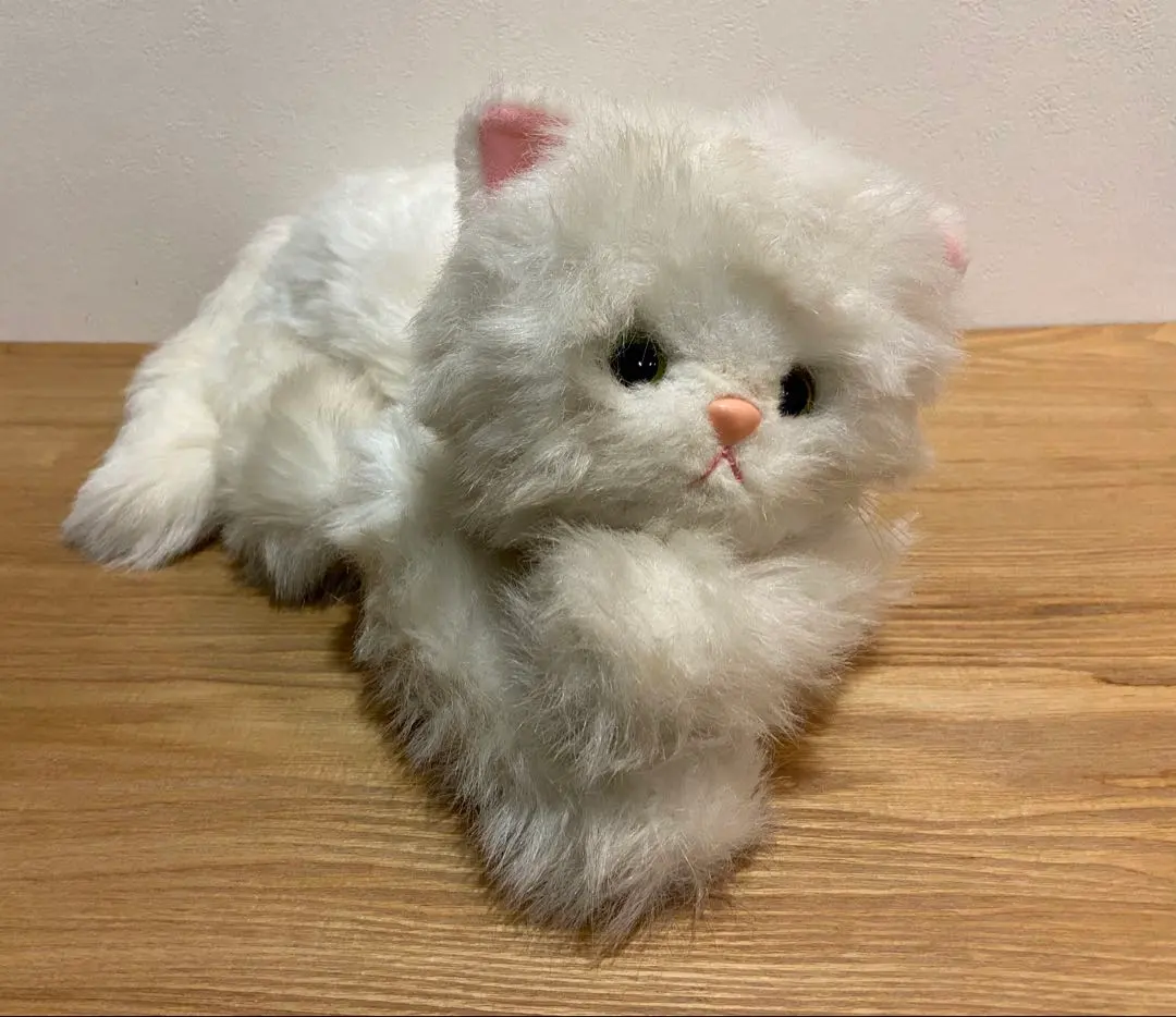 2026年最新】ぬいぐるみ オオイケ 猫の人気アイテム - メルカリ