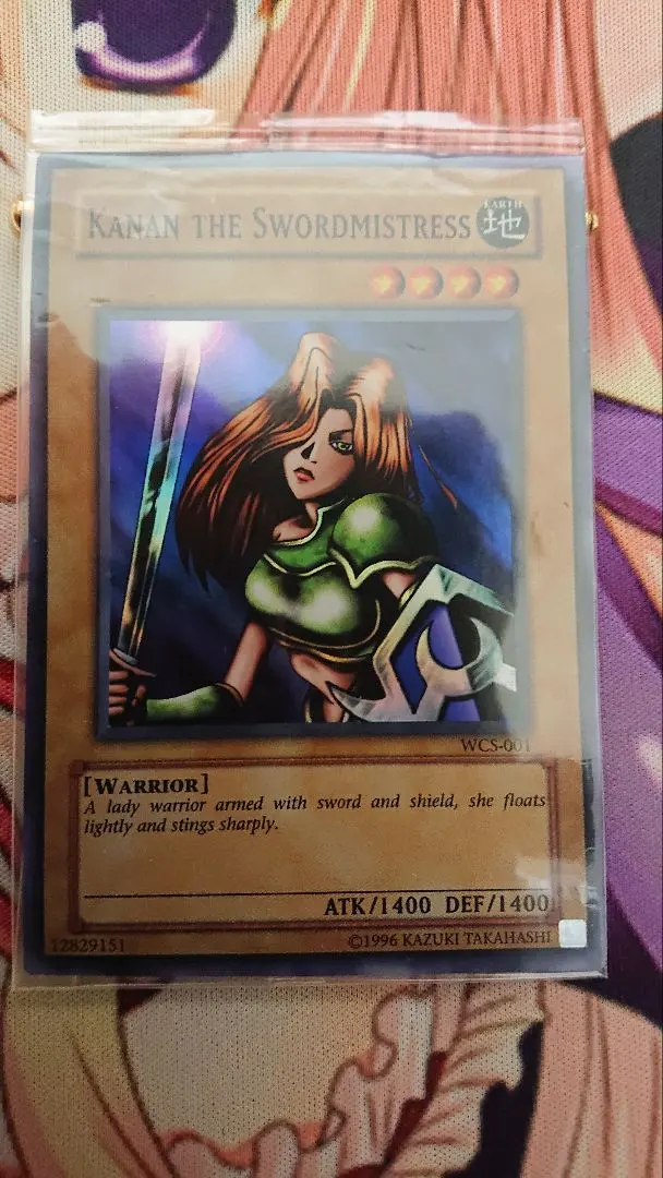 2026年最新】女剣士カナン wcsの人気アイテム - メルカリ