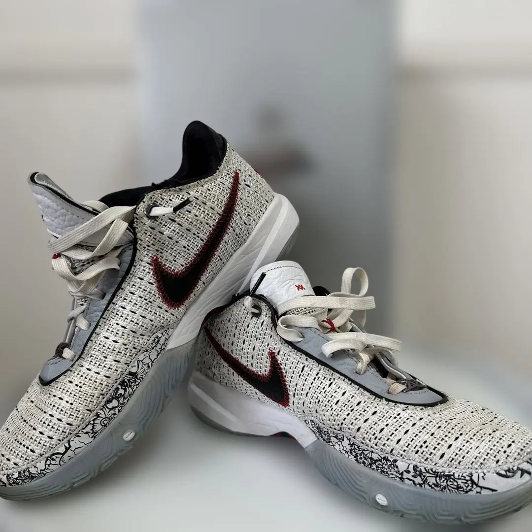 m24805464466_1.jpg?1767758342