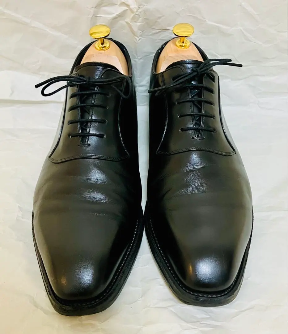 2026年最新】シェットランドフォックス ブライトンの人気アイテム