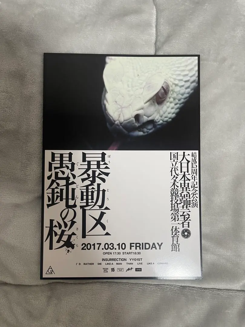 2026年最新】愚鈍の桜の人気アイテム - メルカリ