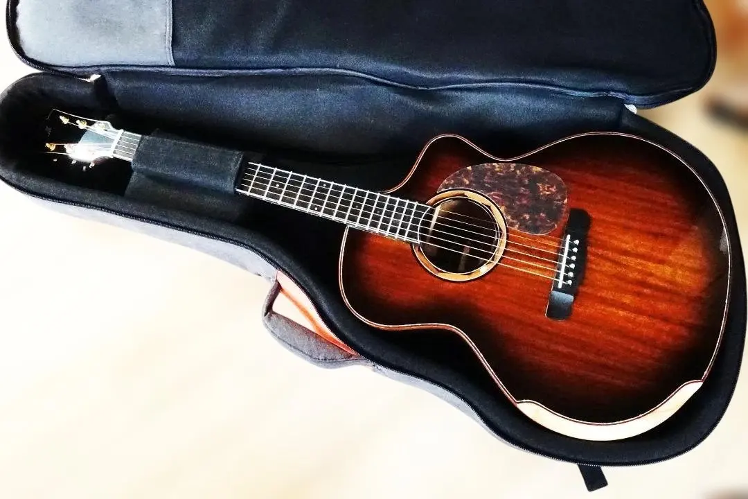 2026年最新】MERIDA ギターの人気アイテム - メルカリ