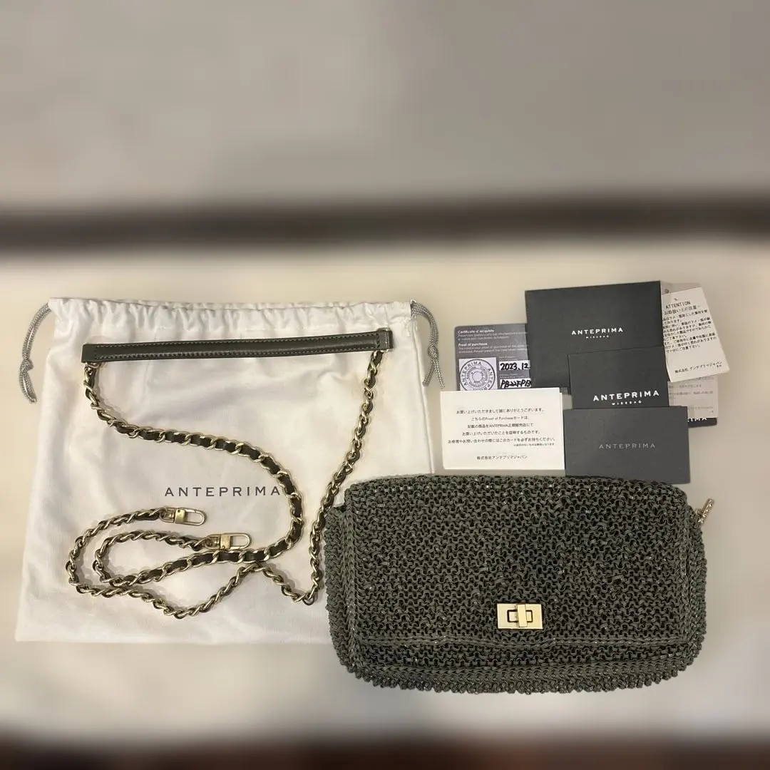 2026年最新】アンテプリマ ルッケット ミディアムの人気アイテム