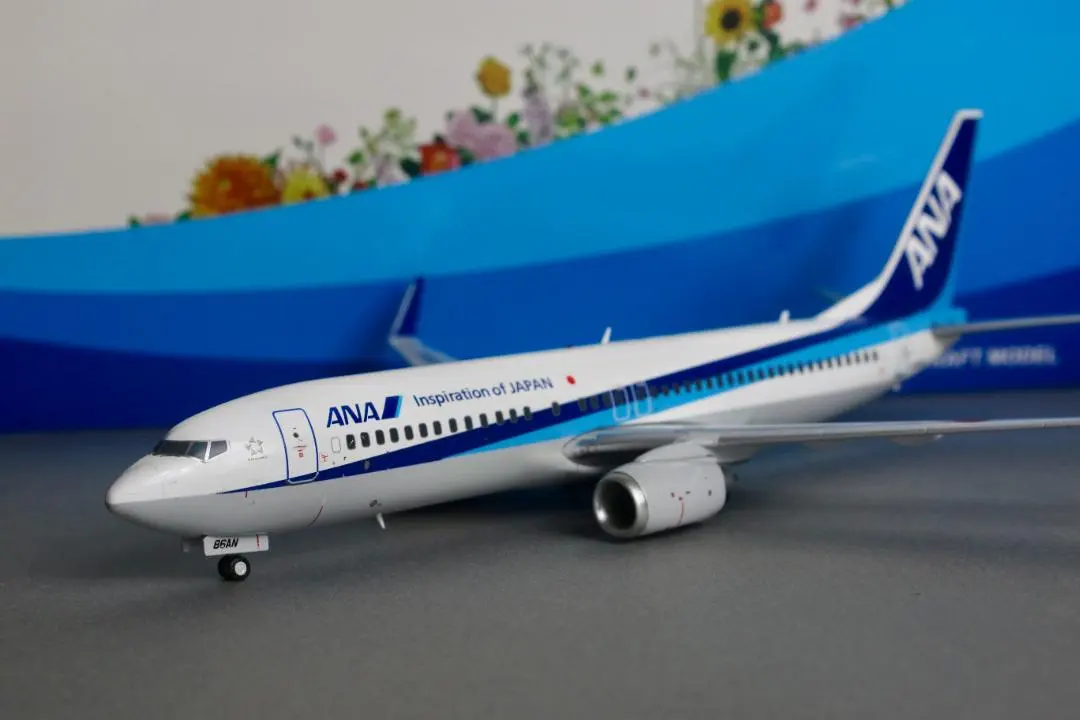 2026年最新】機体名：Boeing B737-800 航空機・ヘリコプターの人気