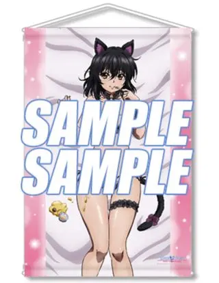 2026年最新】クリアポスター ストライク・ザ・ブラッドの人気アイテム